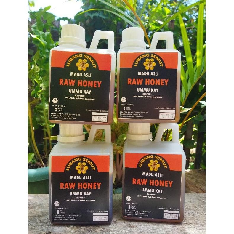 

(Terbaru) Madu Asli Sumatra (Terlaris)