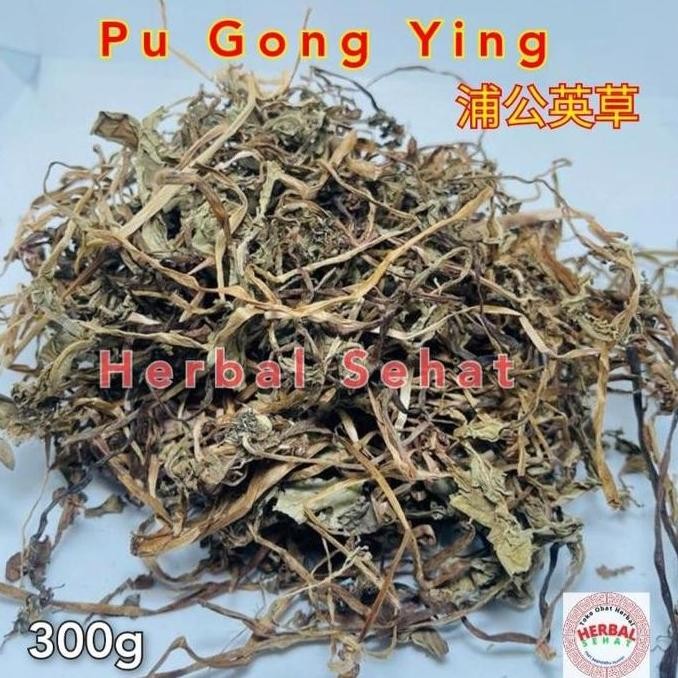 

welcome to tahuan jaya Dandelion Kering 1Kg 1 Kg 1000 G Gr Gram Teh Dandelion Herbal Tea / Pu Gong Ying