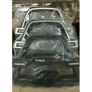 * Tanduk depan kijang kapsul *