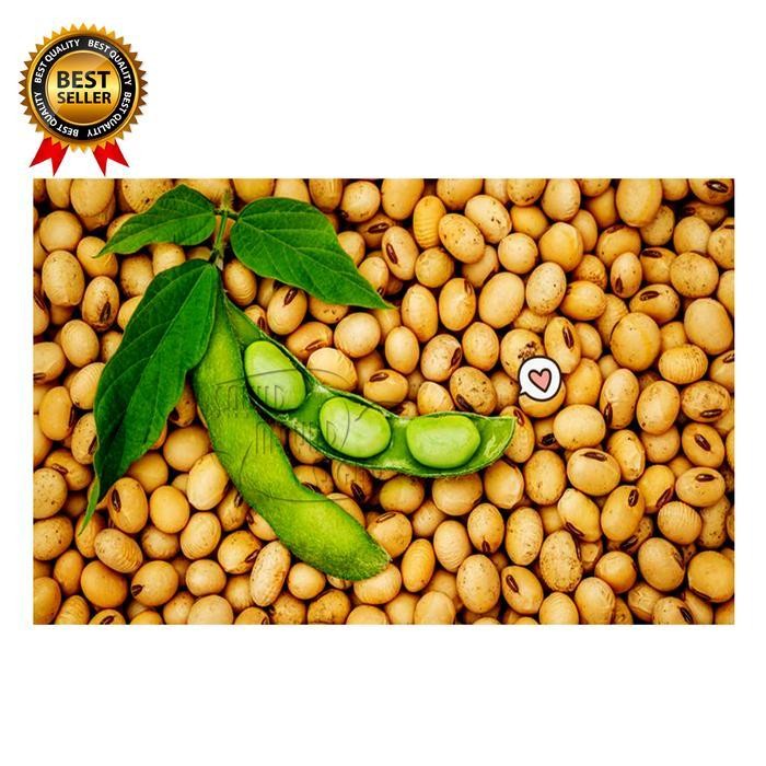 

LS Kacang Kedelai segar / Fresh