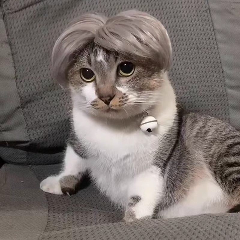 [Pet Wardrobe]Wig bulu kucing dan anjing peliharaan Wig bulu