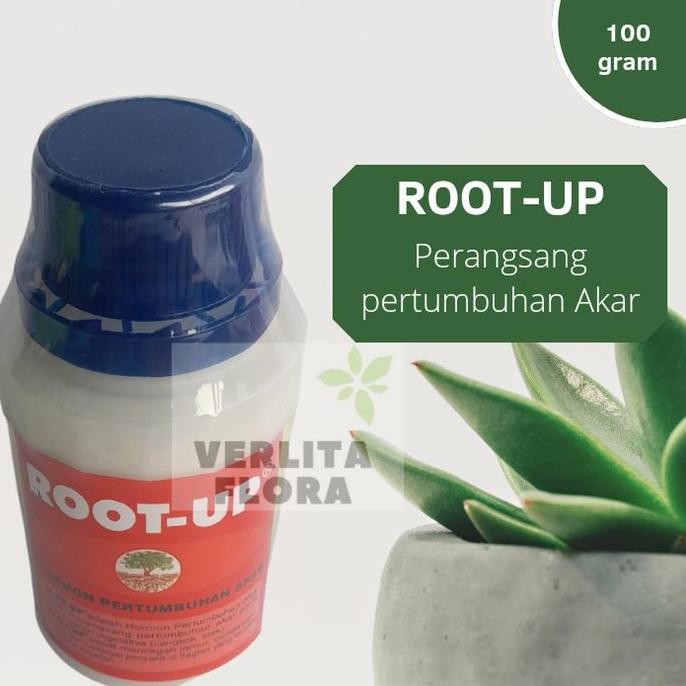 ZPT / Pertumbuhan akar Root Up