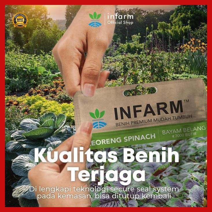 (Ready) Infarm - Benih Unggul Bibit Sayur Bayam Benih Sayuran Bayam Loreng Bibit Sayur Sayuran Segar