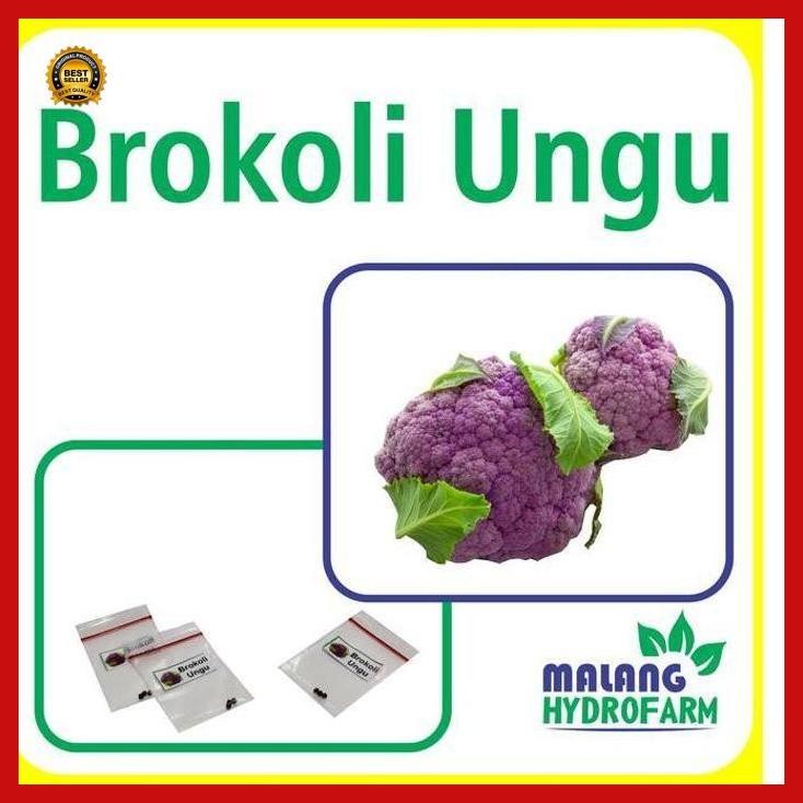 

(Termurah) Benih Brokoli Ungu Unggulan Berkualitas Biji Bibit Sayuran Sayur Bunga Kol Hidroponik Hydroponik Tanaman Pot Bestseller