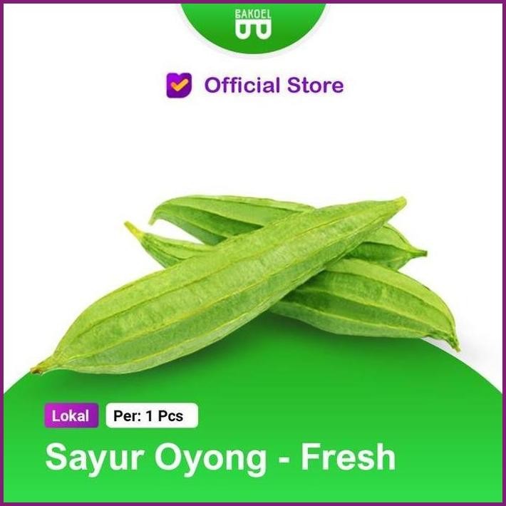 

STOCK READY SAYUR OYONG FRESH DARI KEBUN TERBARU