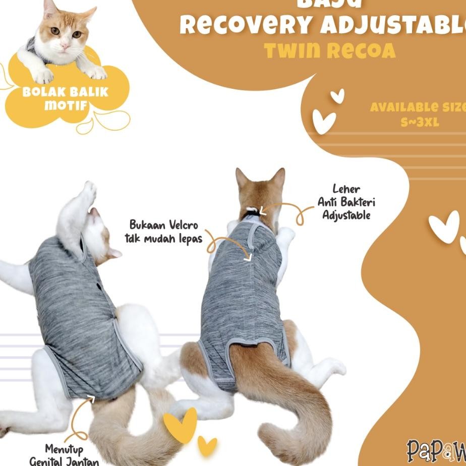 Baju Recovery Kucing Jantan Untuk Pasca Steril Adjustable