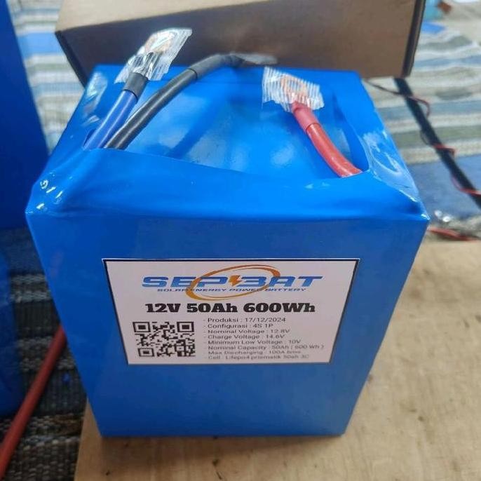 Premium Battery Lithium Lifepo4 12V 25Ah 27Ah 50Ah 100Ah 200Ah Include Bms Best Performance Powerban