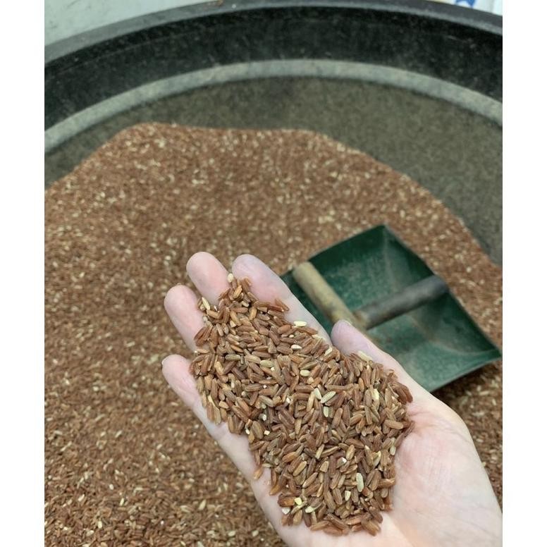 

Beras Merah (Sa) Cantik Manis 2 Kg