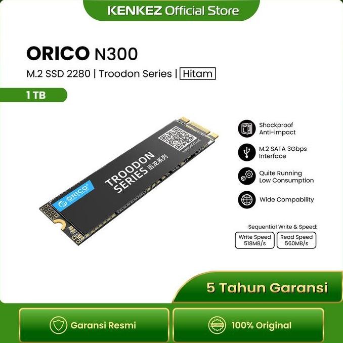NEW ORICO - N300 - M2 Sata SSD Troodon Series 1TB