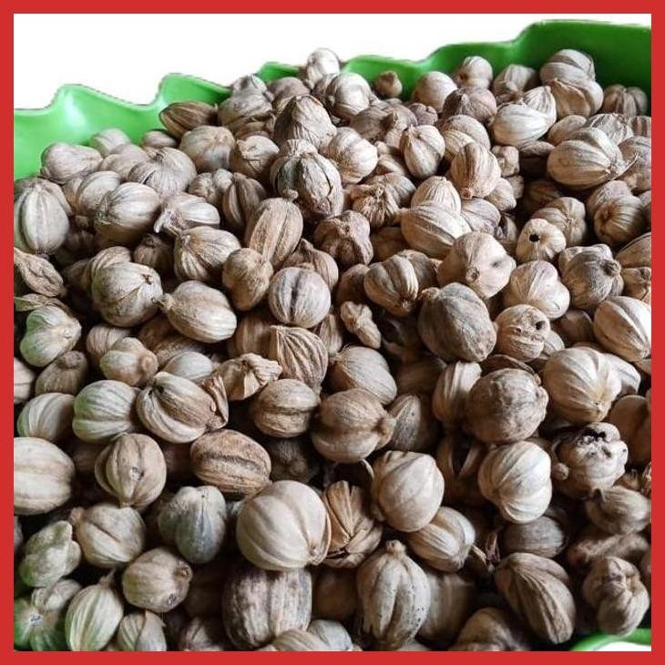 

DISCOUNT KAPULAGA ASLI SUMATRA BARAT KUALITAS TERBAIK [BUMBU OLAHAN MAKANAN]