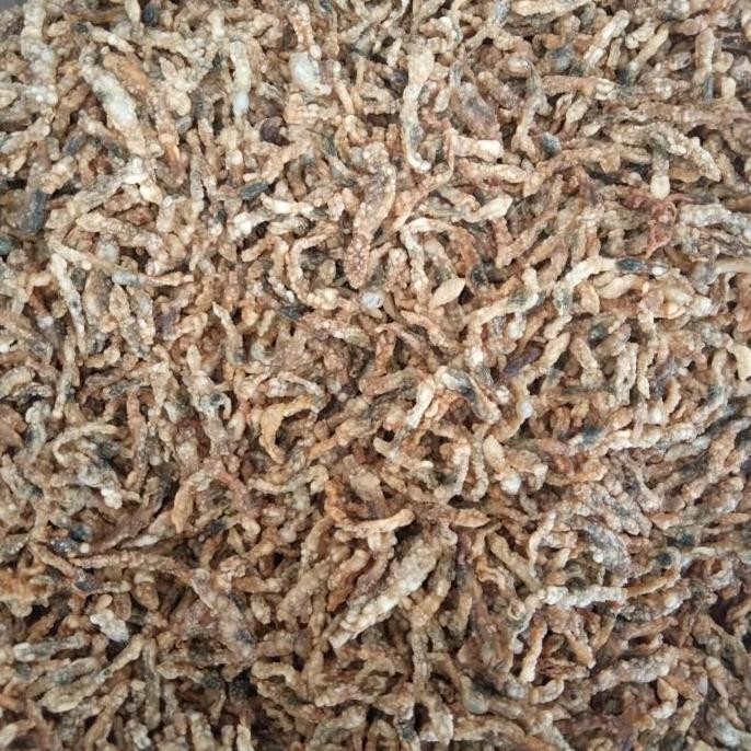 (Good) LORJUK GORENG SUPER (grinting lorjuk)