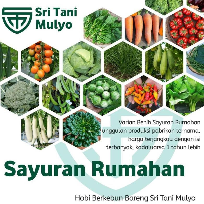 Promo Cod Stm Bibit Sayuran Benih Sayur Paket Lengkap Tanaman Hidroponik Kangkung Bayam Brokoli Cabe