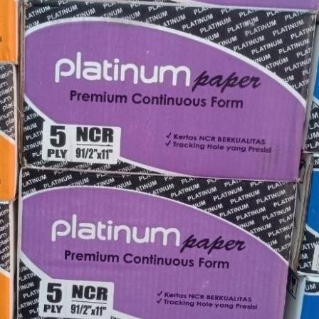 Kertas Continuous Form Platinum 5 Ply (Polos / Prs)