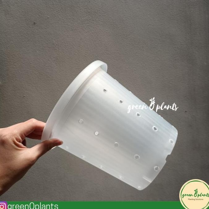 Pot Nkt Bozz 15 Bening Berlubang