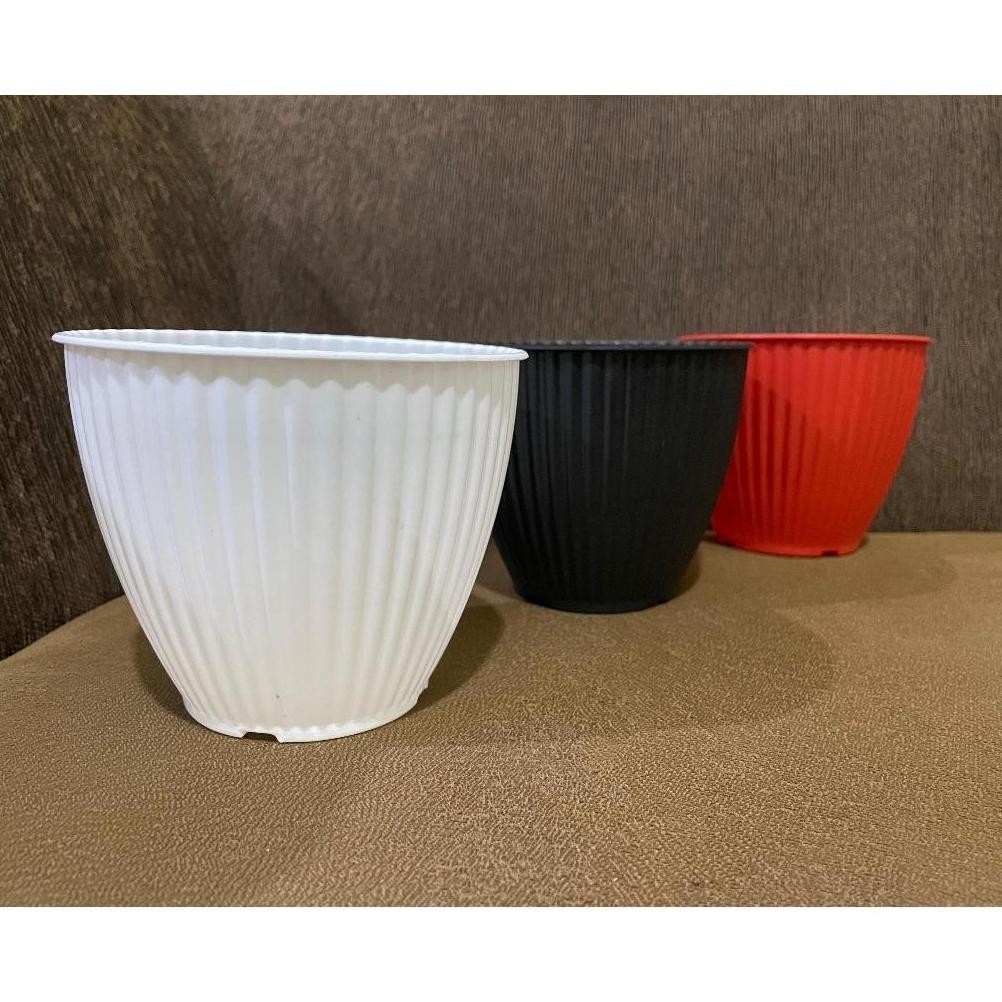 Promo Cod Promo Termurah Pot Kerang 15 Transparan Bening / Pot Zigo 15 / Pot Tanaman / Pot Hias / Po