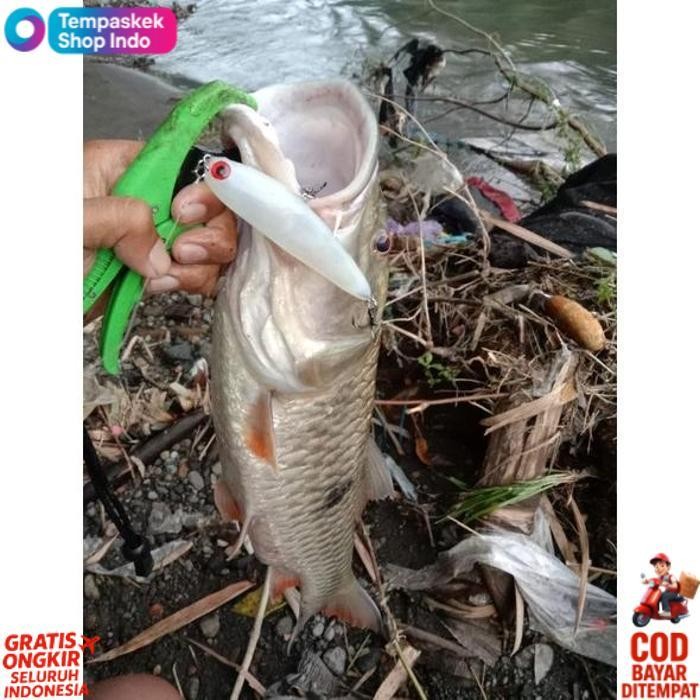 Quality Lure Wtd Kolang-Kaling Top Water Splas Bahan Lem Tembak Ukuran 7,8,9 Dan 10 Cm Umpan Pancing