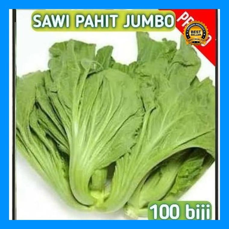 [Cod] - 150 Biji - Benih Sawi Pahit Jumbo Lokal - Bibit Sayuran - Benih Sayuran Seribuan Sawi Hijau