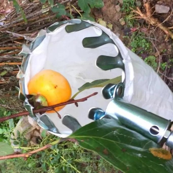 alat pemetik buah metal fruit picker