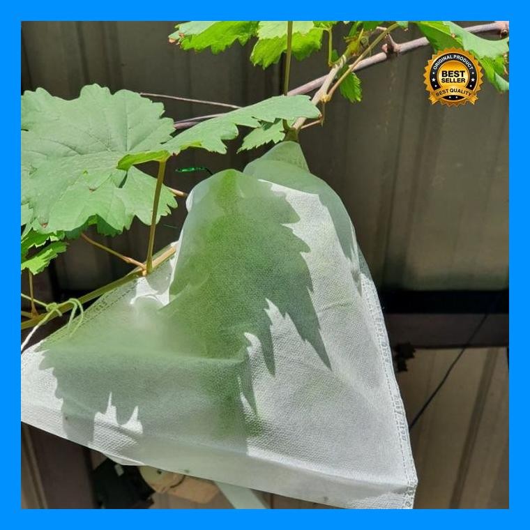 [Cod] - Fruit Cover Pembungkus Buah Buahan - Brongsong Buah Mangga, Apel Dll