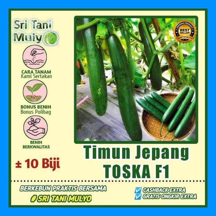 [Cod] - 10 Biji - Benih Timun Jepang Toska F1 - Kaya Gizi Cocok Untuk Diet
