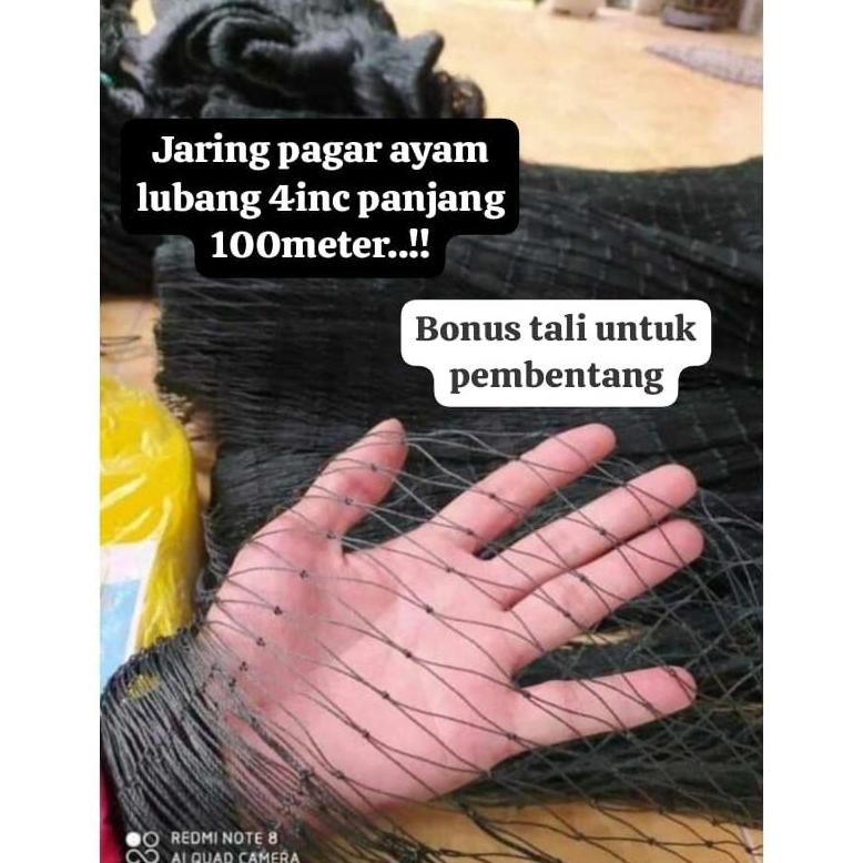 SENHA jaring pagar ayam panjang 100meter lubang 4inc