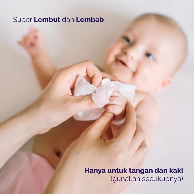 Terbaru - Hoppi Tisu Basah Bayi Anti-Bakteri (3 Pak x 80 Lembar)
