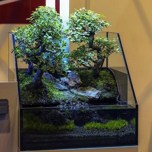 Paludarium Waterfall Mist Terrarium Tank Aquarium Kaca