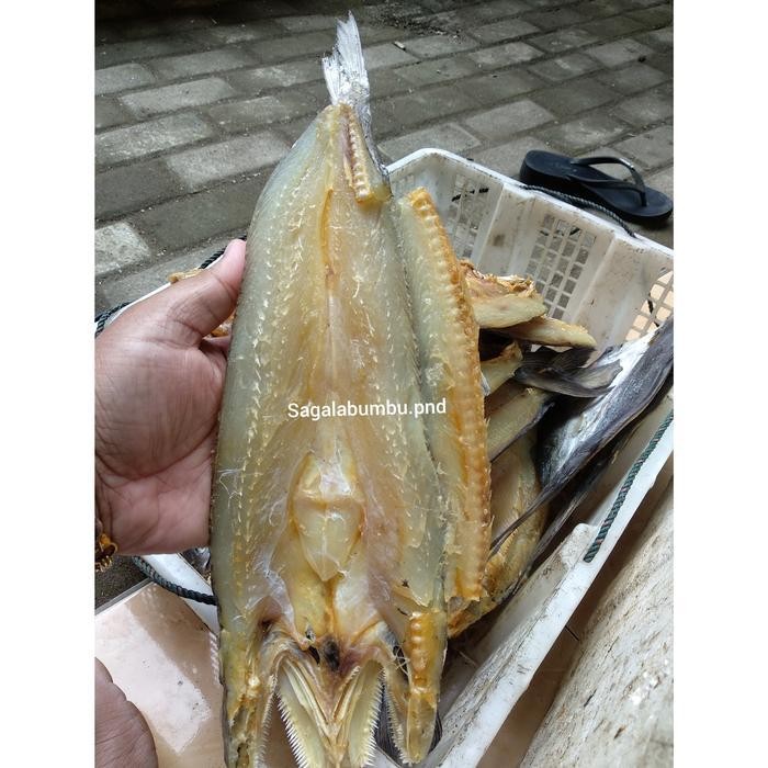 IKAN ASIN GABUS LAUT ikan asin gabus BELI 1 DAPAT 3 Ikan bloso gabus.