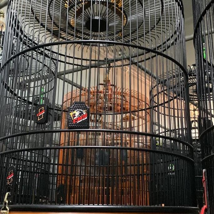 SANGKAR KANDANG MURAI CMS JATI NATURAL murah