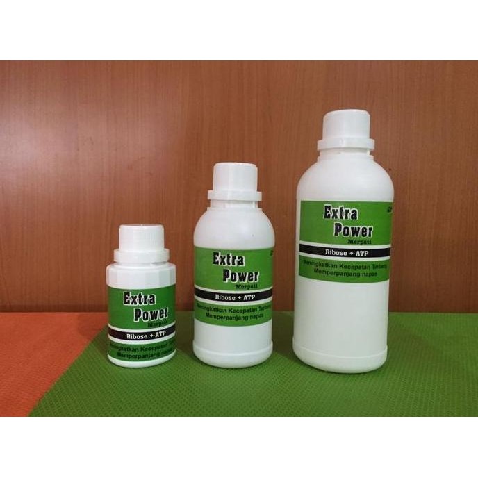 EXTRA POWER ARISTOL RIBOSE ATP TINGKATAN KECEPATAN TERBANG BURUNG KESEHATAN murah