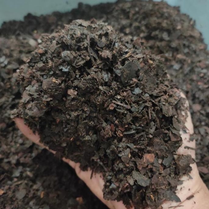 kompos daun trembesi fermentasi/media tanam trembesi fermentasi