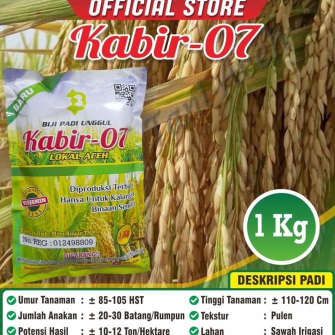 Promo Bibit Padi Kabir 07 COD