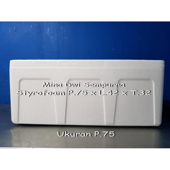 Styrofoam box 30kg-35kg / Sterofoam Ikan Beku & Daging Beku/ Cool Box RAM