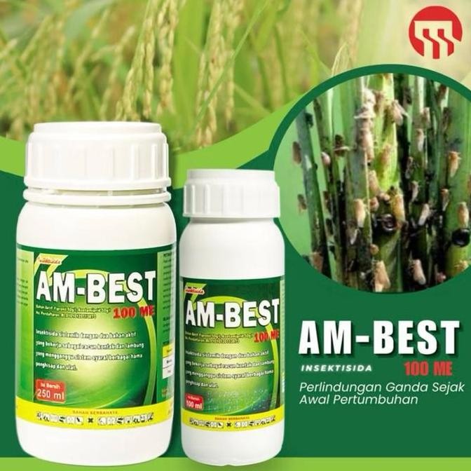Insektisida Obat Anti Hama Ambest 100ME 100ml