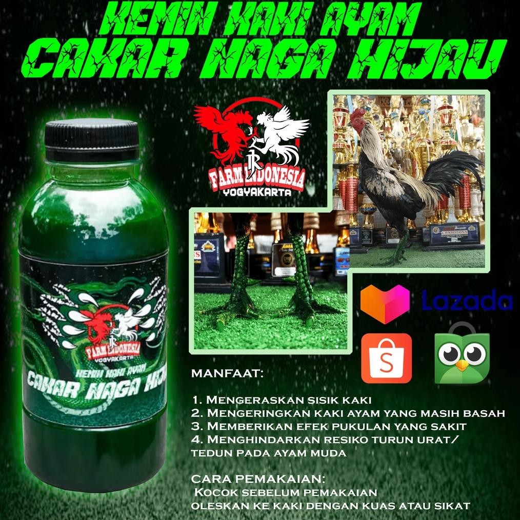 KEMIN KAKI AYAM  CAKAR NAGA HIJAU DAN CAKAR NAGA MERAH