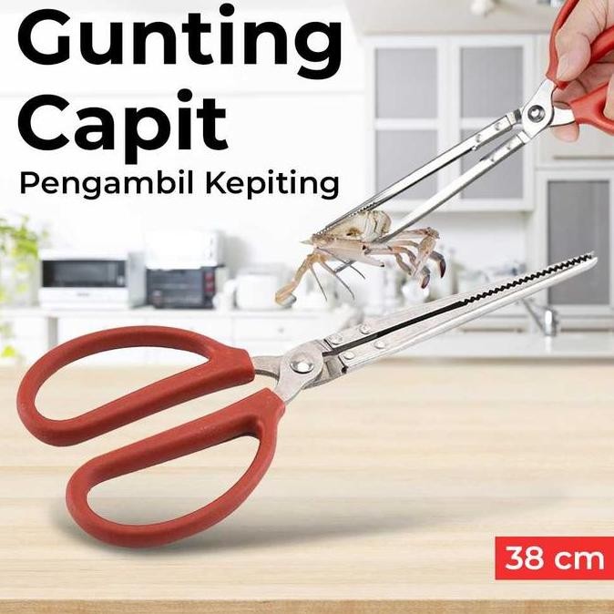 [Best] Capit Kepiting Penjepit Capitan Panjang Crab Belut Stainless