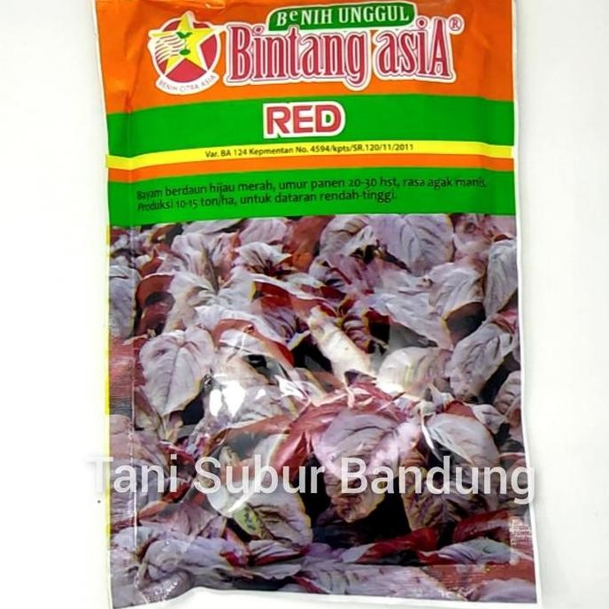 Benih Bayam Merah Red 500 gr