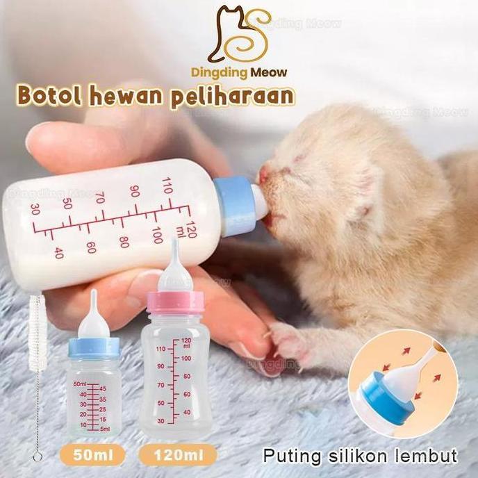Botol Susu Anak Kucing Dot Kucing Baru Lahir Dan Anjing Kecil