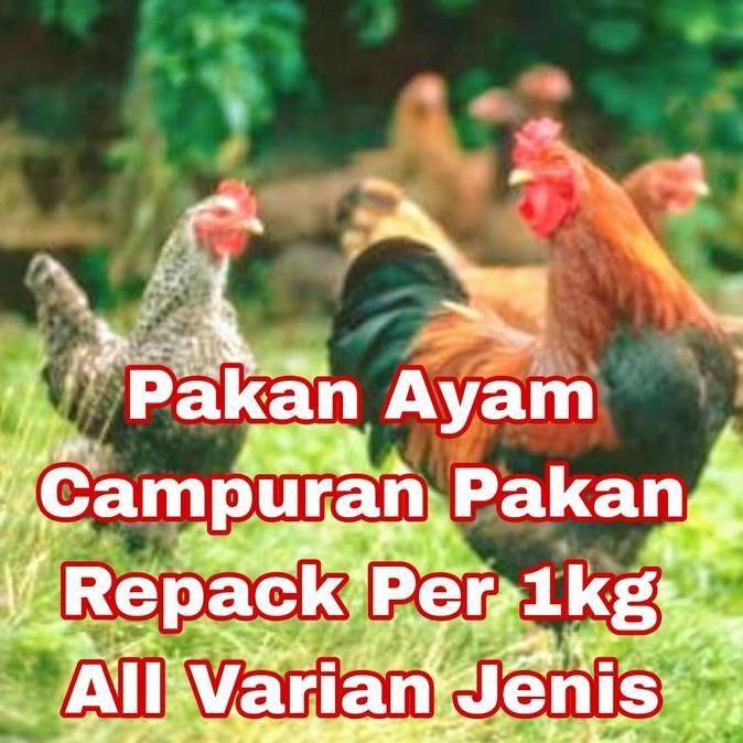 PER 1 KG PAKAN AYAM CAMPURAN REPACK ALL VARIAN JENIS A594K. A591K. 511 BRAV.O 512 BRAVO. 310 BURAS. 