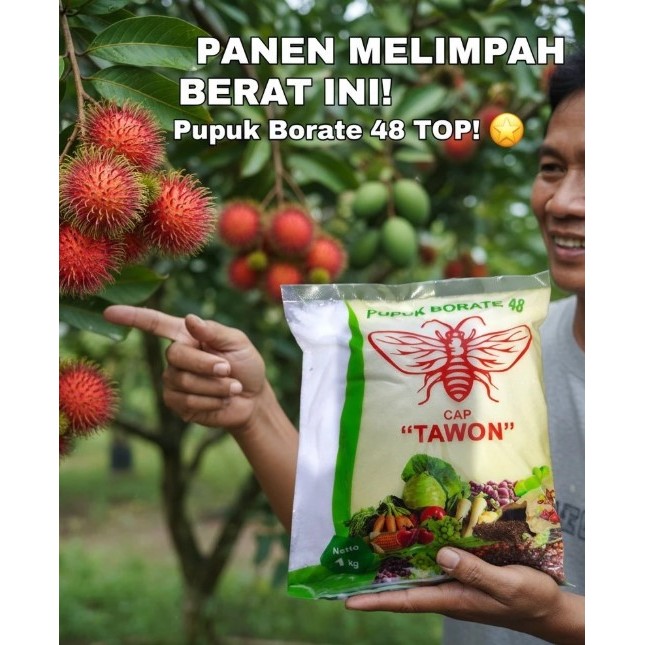 pupuk borate 48 cap tawon