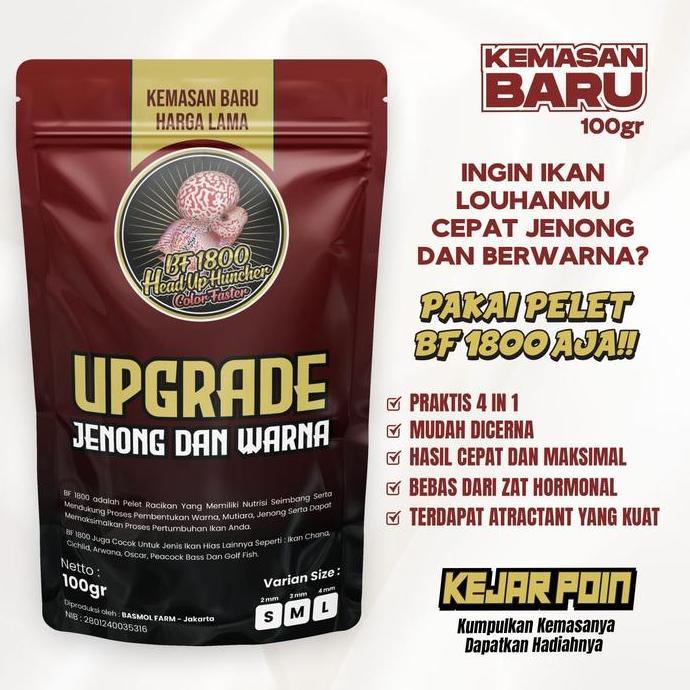 PELET BF 1800 & BF 800 STRONG COLLOR WARNA BIG HEAD KOK PAKAN LOUHAN