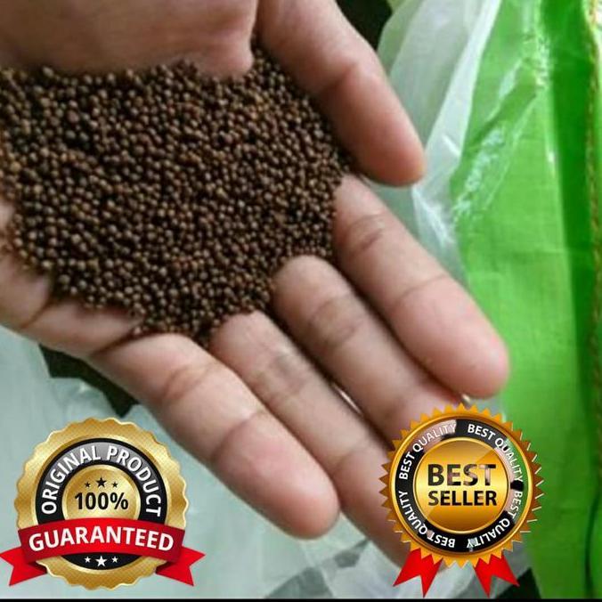 PELET IKAN PF 1000 1KG PAKAN IKAN PF1000