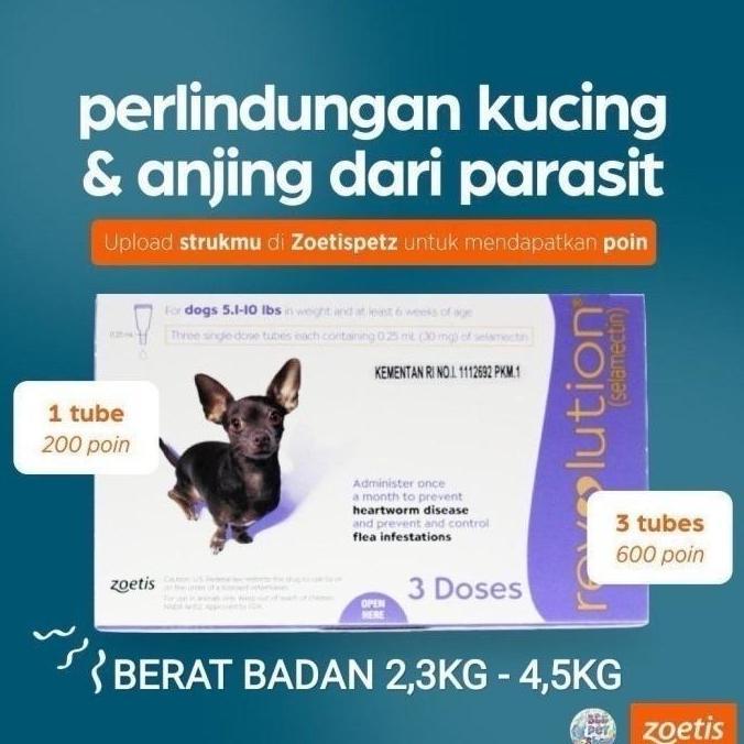 REVOLUTION DOG / OBAT KUTU ANJING / REVOLUTION PURPLE