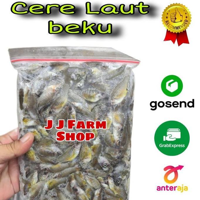 IKAN CERE LAUT BEKU / CERE BEKU FRESH 500GRAM PAKAN IKAN PREDATOR TOP