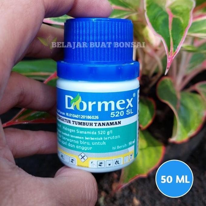 Gard- Dormex 520Sl Hidrogen Sianamida Zpt Apel Anggur Germany