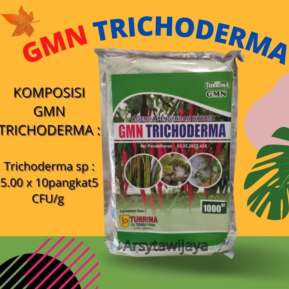 PUPUK TRICHODERMA BERAS MURNI, TRICHODERMA SP, PUPUK JAMUR GMN TRICHODERMA HARZIANUM
