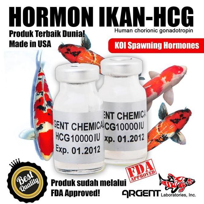 HORMON IKAN / HCG 10.000 IU - MADE IN USA - PREMIUM QUALITY