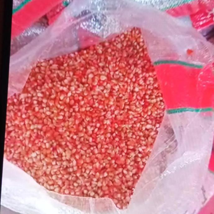JAGUNG KRISTAL- JAGUNG BURUNG DARA- JAGUNG 25 KG MERPATI