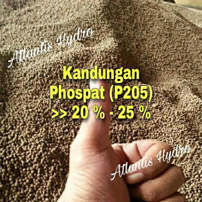 Promo Pupuk Organik Guano / Pupuk Guano Kelelawar / Guano Granulle MURAH  Diskon