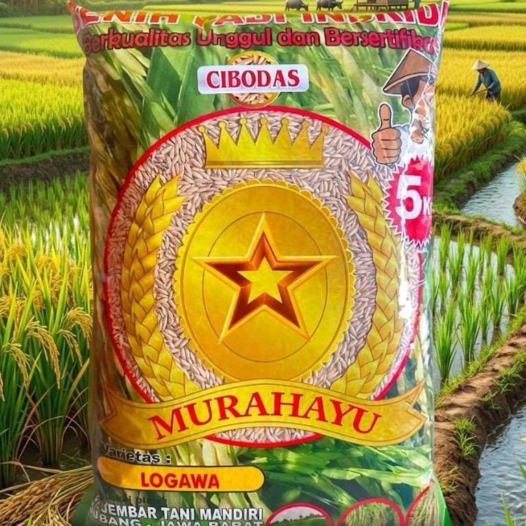 Benih padi Logawa Cibodas 5kg